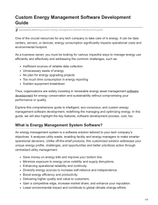 custom energy management software development