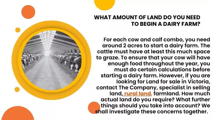 what amount of land do you need to begin a dairy