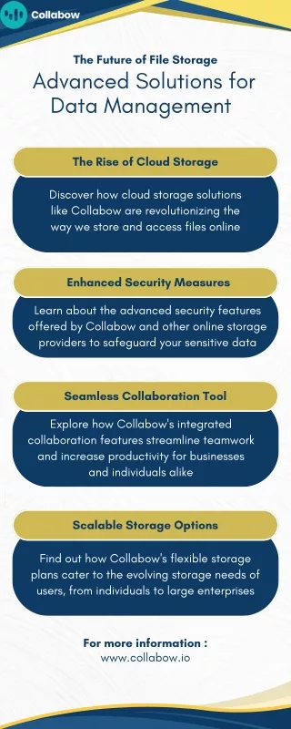 The Future of Online Storage: Advanced File Storage Solution