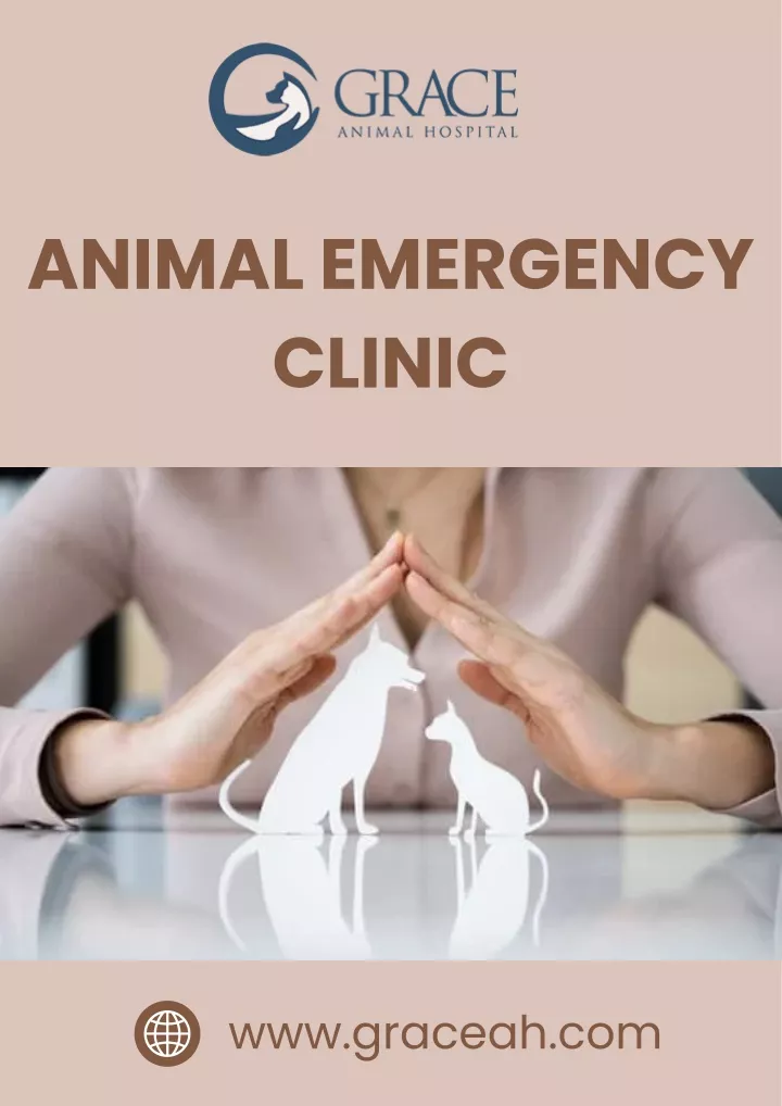 animal emergency clinic