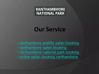 Wildlife Safari Booking in Ranthambore - Discover Nature's Wonders