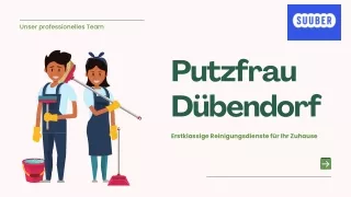 Zuverlässige Putzfrau Dübendorf: Entdecken Sie die kompetenten Reinigungsdienste