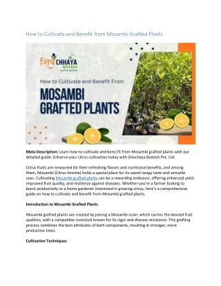 How to Cultivate and Benefit from Mosambi Grafted Plants