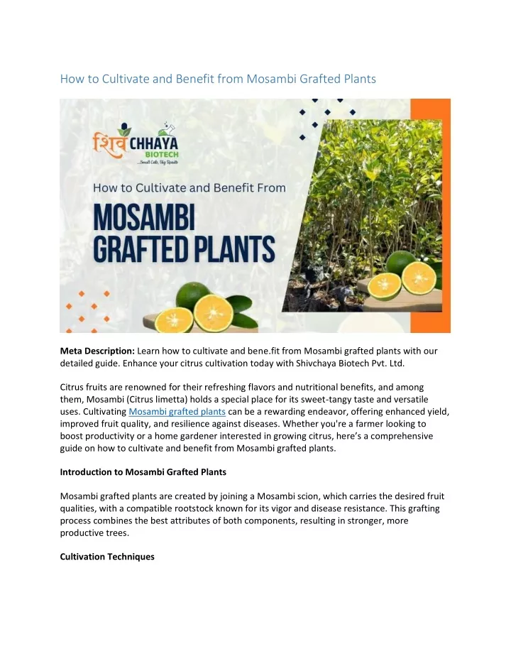 how to cultivate and benefit from mosambi grafted