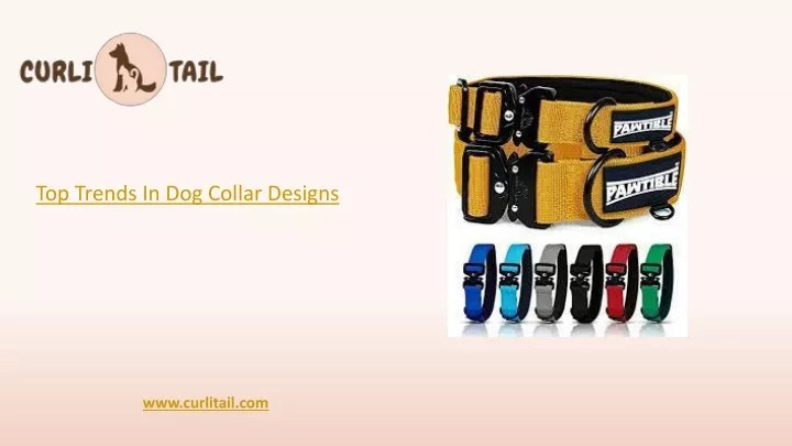 top trends in dog collar designs