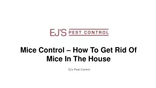 mice control how to get rid of mice in the house