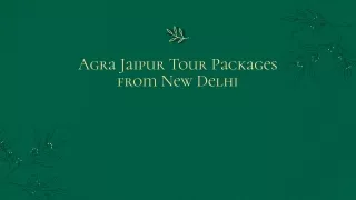 Agra Jaipur Tour Packages from New Delhi