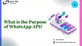 WhatsApp API: Understanding Its Purpose