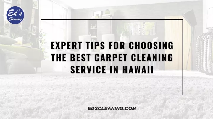 expert tips for choosing the best carpet cleaning