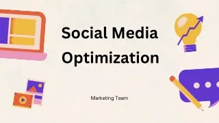 social media optimization
