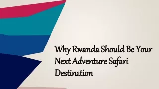 Why Rwanda Should Be Your Next Adventure Safari Destination