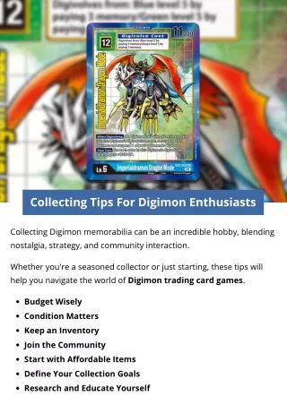 collecting tips for digimon enthusiasts