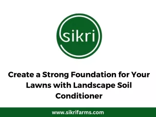 Create a Strong Foundation for Your Lawns with Landscape Soil Conditioner