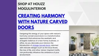 shop at houzz mogulinterior