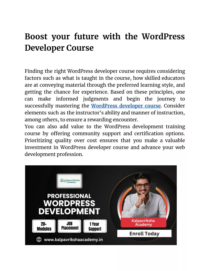 boost your future with the wordpress developer