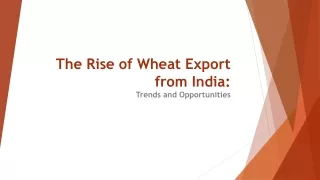 the rise of wheat export