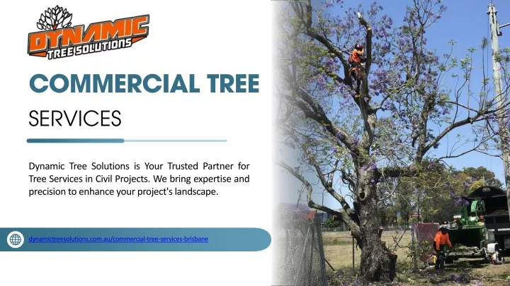 commercial tree