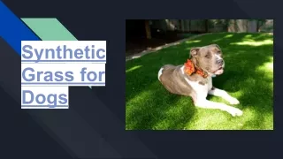 Synthetic Grass for Dogs