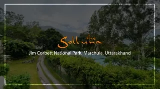 Solluna 5 star Resorts in JIm Corbett