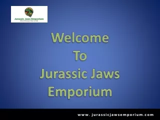 Dinosaur home accessories - Jurassic Jaws Emporium