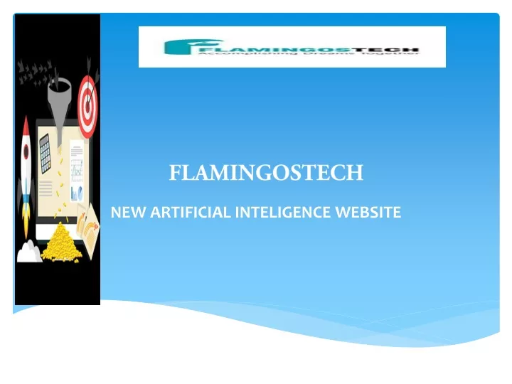 flamingostech