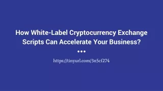 How White-Label Cryptocurrency Exchange Scripts Can Accelerate Your Business