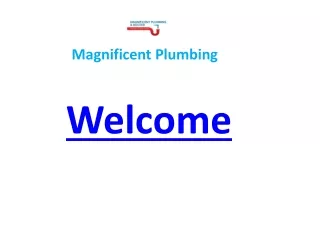 Magnificent Plumbing
