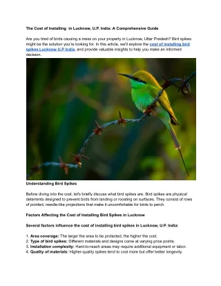 The Cost of Installing Bird Spikes in Lucknow, U