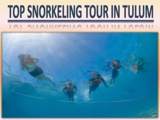 Top Snorkeling Tour in Tulum