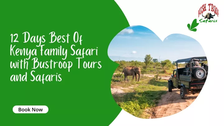 12 days best of kenya family safari with bustroop