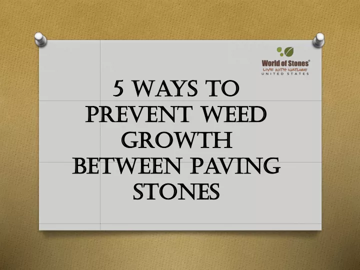 5 ways to prevent weed growth between paving stones