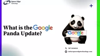 Google Panda: What You Need to Know