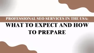 Professional SEO Services in the USA | What to Expect and How to Prepare for Opt