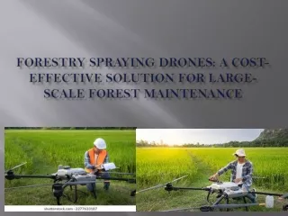 Forestry Spraying Drones: A Cost-Effective Solution for Large-Scale Forest Maint