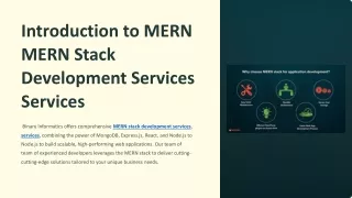 MERN stack development services