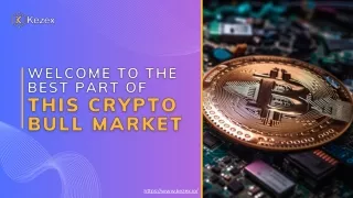 Welcome to the Best Part of This Crypto Bull Market
