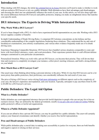 DUI Lawyers vs. Public Defenders: Which is Right for You?