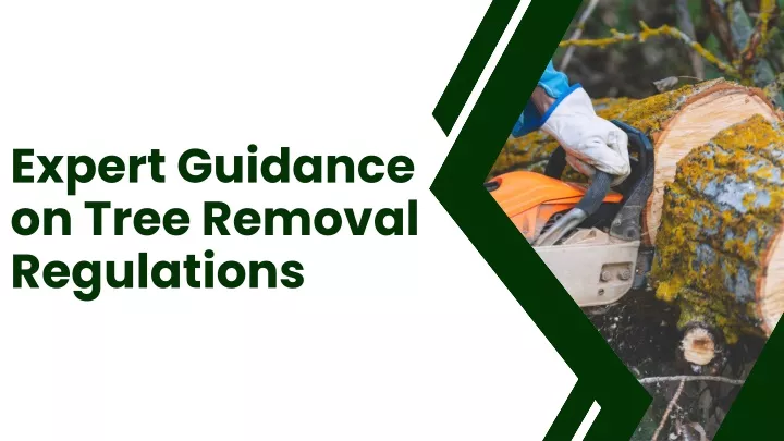 expert guidance on tree removal regulations