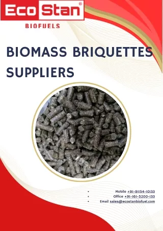 Top Biomass Briquettes Suppliers - Ecostan Biofuel: Sustainable Energy Solutions