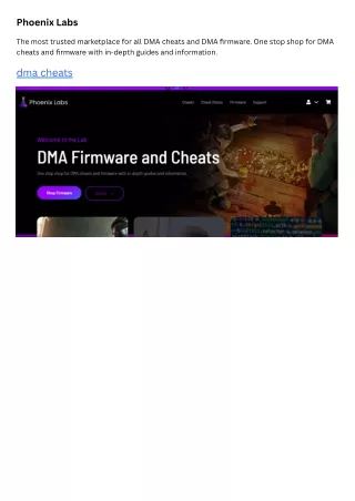phoenix labs