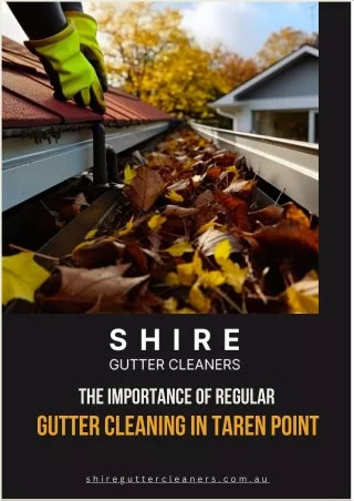 The Importance of Regular Gutter Cleaning in Taren Point