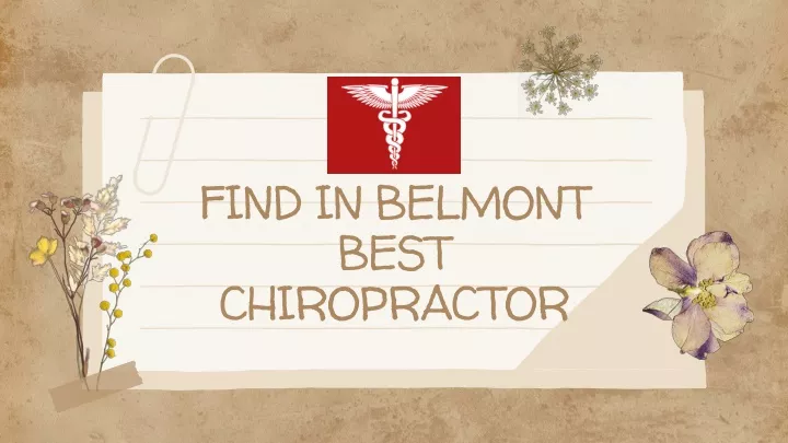 find in belmont best chiropractor