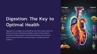 digestion the key to optimal health