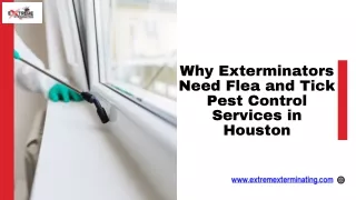 Why Exterminators Need Flea and Tick Pest Control Services in Houston