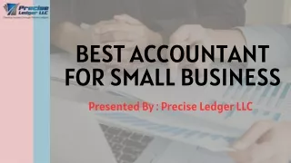 Best Accountant for Small Business | Precise Ledger LLC