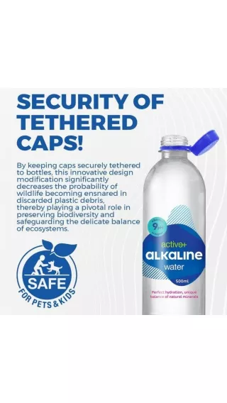 Best alkaline RO water purifiers in Rohtak
