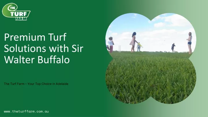 premium turf solutions with sir walter buffalo