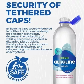 Best alkaline RO water purifiers in Rohtak