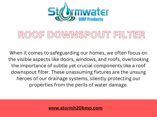 Roof Downspout Filter Arizona -Storm Filter