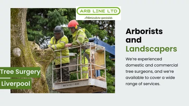 arborists and landscapers